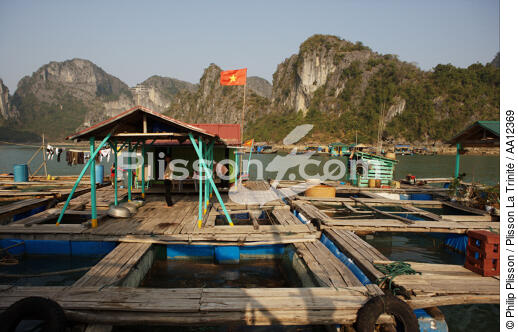 Vietnamese village of fishermen. - © Philip Plisson / Plisson La Trinité / AA12369 - Photo Galleries - Along Bay, Vietnam