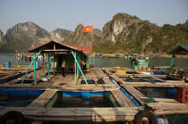 Village de pêcheurs vietnamien. © Philip Plisson / Plisson La Trinité / AA12369 - Nos reportages photos - Maison flottante