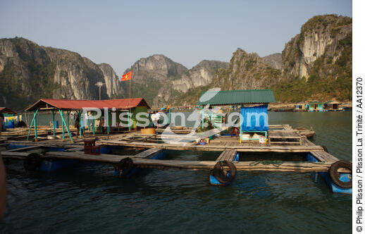 Village de pêcheurs vietnamien. - © Philip Plisson / Plisson La Trinité / AA12370 - Nos reportages photos - Maison flottante
