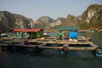 Village de pêcheurs vietnamien. © Philip Plisson / Plisson La Trinité / AA12370 - Nos reportages photos - Maison flottante
