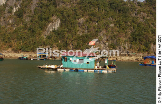 Village de pêcheurs vietnamien. - © Philip Plisson / Plisson La Trinité / AA12371 - Nos reportages photos - Maison flottante