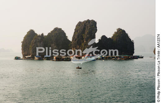Ile dans la Baie d'Along. - © Philip Plisson / Plisson La Trinité / AA12374 - Nos reportages photos - La Baie d'Along, Vietnam