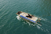 Small boat in Along Bay © Philip Plisson / Plisson La Trinité / AA12377 - Photo Galleries - Wood