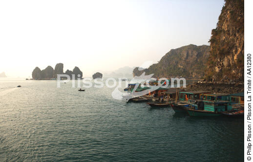 Island of Along Bay - © Philip Plisson / Plisson La Trinité / AA12380 - Photo Galleries - Along Bay, Vietnam