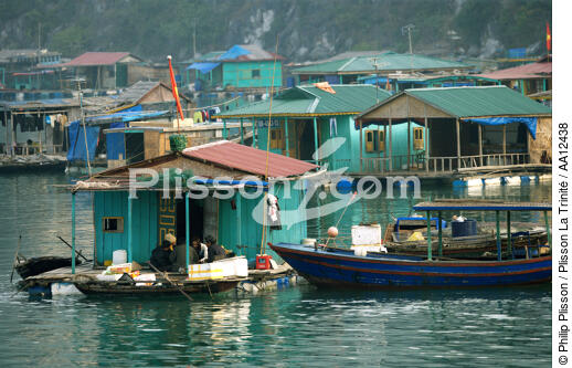 Village dans la baie d'Along. - © Philip Plisson / Plisson La Trinité / AA12438 - Nos reportages photos - Vietnam