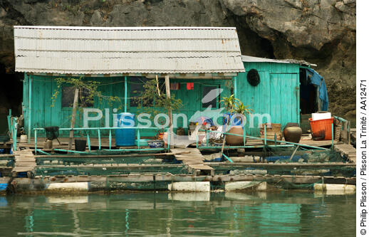 A dwelling in a village of Along Bay. - © Philip Plisson / Plisson La Trinité / AA12471 - Photo Galleries - Ha Long Bay