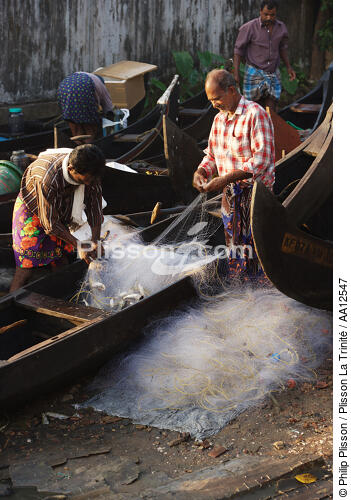 Pêcheursà Cochin. - © Philip Plisson / Plisson La Trinité / AA12547 - Nos reportages photos - La petite pêche au Kerala, Inde du sud