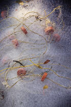 Fishing net. © Philip Plisson / Plisson La Trinité / AA12554 - Photo Galleries - Cochin