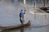 Les Backwaters du Kérala. © Philip Plisson / Plisson La Trinité / AA12566 - Nos reportages photos - La petite pêche au Kerala, Inde du sud