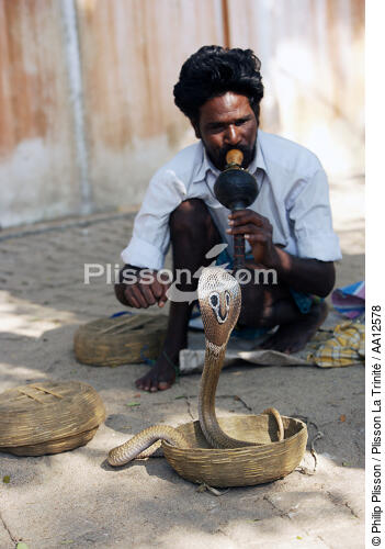 Cobra in Cochin. - © Philip Plisson / Plisson La Trinité / AA12578 - Photo Galleries - Man