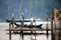Pêche dans les backwaters.. © Philip Plisson / Plisson La Trinité / AA12584 - Nos reportages photos - Ville [Kerala]