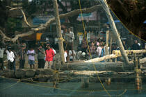Pêche à Cochin. © Philip Plisson / Plisson La Trinité / AA12604 - Nos reportages photos - Etats [Inde]
