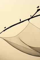 Chinese nets in front of Cochin. © Philip Plisson / Plisson La Trinité / AA12613 - Photo Galleries - Egret