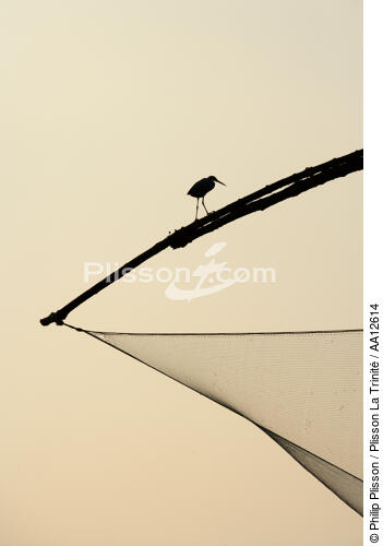Chinese nets devant Cochin. - © Philip Plisson / Plisson La Trinité / AA12614 - Nos reportages photos - Oiseau de marais