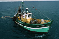 Trawler in fishing. © Philip Plisson / Plisson La Trinité / AA12716 - Photo Galleries - Fishing equipment