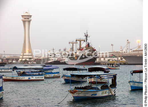 Sur le canal de Suez. - © Philip Plisson / Plisson La Trinité / AA12830 - Nos reportages photos - L'Egypte vue du ciel