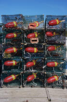 Buoys of racks. © Philip Plisson / Plisson La Trinité / AA12984 - Photo Galleries - Fishing equipment