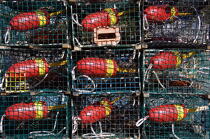 Buoys of racks. © Philip Plisson / Plisson La Trinité / AA12986 - Photo Galleries - Lobster pot
