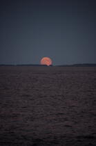 Lune rousse © Philip Plisson / Plisson La Trinité / AA13014 - Nos reportages photos - Couleurs d'Automne en Nouvelle Angleterre