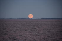 Lune rousse © Philip Plisson / Plisson La Trinité / AA13015 - Nos reportages photos - Maine
