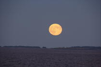 Lune rousse © Philip Plisson / Plisson La Trinité / AA13016 - Nos reportages photos - Pleine lune