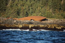 Monhegan island in Maine. © Philip Plisson / Plisson La Trinité / AA13141 - Photo Galleries - Boat graveyard