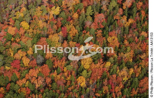 Autumn in Maine. - © Philip Plisson / Plisson La Trinité / AA13153 - Photo Galleries - Autumn Colors in New England
