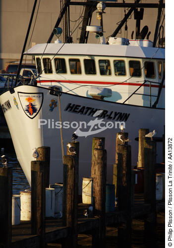 Point Judith Harbour dans l'état du Rhode Island. - © Philip Plisson / Plisson La Trinité / AA13872 - Nos reportages photos - Rhode Island