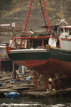 Dans le port d'Aberdeen à Hong Kong. © Philip Plisson / Plisson La Trinité / AA13983 - Nos reportages photos - Hong Kong