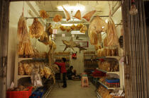 Dried fish in Hong Kong. © Philip Plisson / Plisson La Trinité / AA14016 - Photo Galleries - Shark