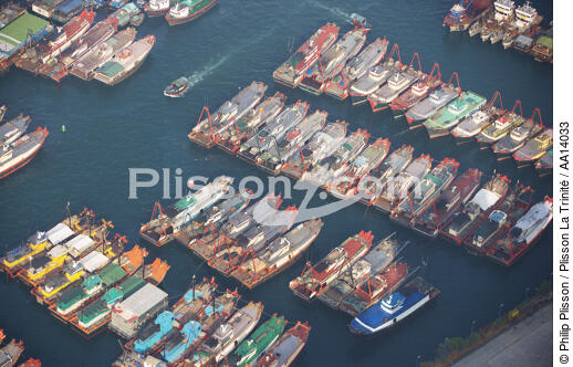 In the port of Aberdeen in Hong Kong. - © Philip Plisson / Plisson La Trinité / AA14033 - Photo Galleries - Aberdeen [Hong Kong]