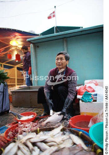 Vente de poisson dans le port d'Aberdeen à Hong Kong. - © Philip Plisson / Plisson La Trinité / AA14040 - Nos reportages photos - Hong Kong, ville de contrastes