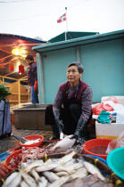 Vente de poisson dans le port d'Aberdeen à Hong Kong. © Philip Plisson / Plisson La Trinité / AA14040 - Nos reportages photos - Femme