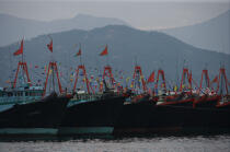 Bateaux de pêche à Aberdeen, Hong Kong. © Philip Plisson / Plisson La Trinité / AA14047 - Nos reportages photos - Aberdeen [Hong Kong]