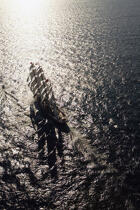Cutty Sark 2003. © Philip Plisson / Plisson La Trinité / AA14059 - Nos reportages photos - Les Grands voiliers