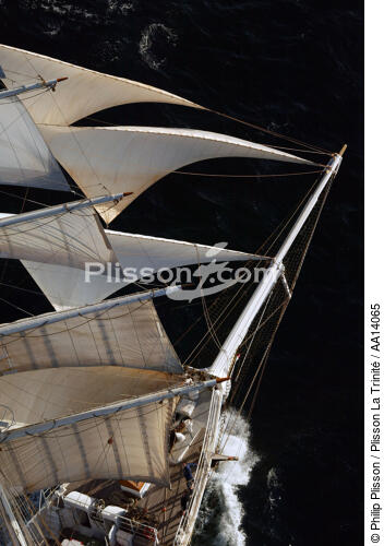 Cutty Sark 2003. - © Philip Plisson / Plisson La Trinité / AA14065 - Nos reportages photos - Les Grands voiliers