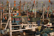 Bateaux de pêche dans le port de Bombay. © Philip Plisson / Plisson La Trinité / AA14079 - Nos reportages photos - Maharashtra