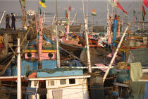 Fishing vessels in the port of Bombay. © Philip Plisson / Plisson La Trinité / AA14080 - Photo Galleries - State [India]