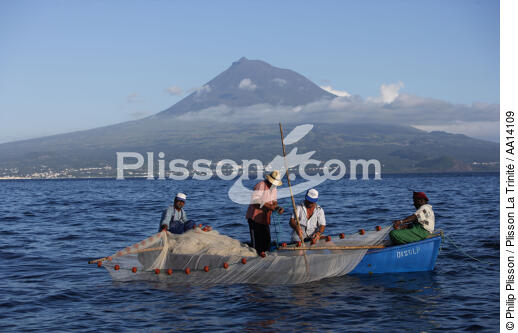 Petite pêche aux Açores. - © Philip Plisson / Plisson La Trinité / AA14109 - Nos reportages photos - Pêcheur du monde