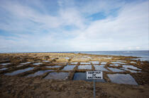 Salt production in Gozo island in Malta. © Philip Plisson / Plisson La Trinité / AA14152 - Photo Galleries - Gozo