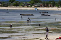 Ifaty - Madagascar. © Philip Plisson / Plisson La Trinité / AA14620 - Nos reportages photos - Peuple Vezo
