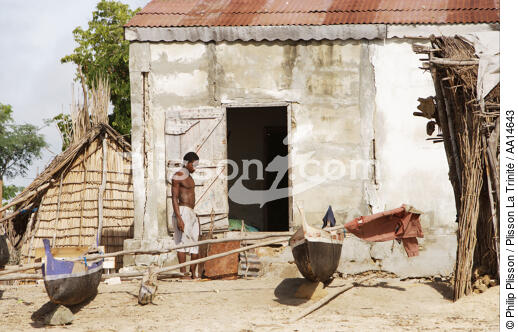 Ifaty - Madagascar. - © Philip Plisson / Plisson La Trinité / AA14643 - Photo Galleries - Ifaty
