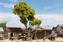Ifaty - Madagascar. © Philip Plisson / Plisson La Trinité / AA14648 - Nos reportages photos - Peuple Vezo