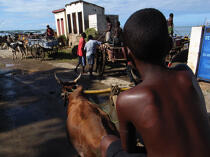 Tuléar - Madagascar. © Philip Plisson / Plisson La Trinité / AA14753 - Nos reportages photos - Canal de Mozambique