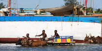 Tuléar - Madagascar. © Philip Plisson / Plisson La Trinité / AA14759 - Nos reportages photos - Canal de Mozambique