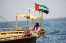 Dhow regatta in Dubaï. © Philip Plisson / Plisson La Trinité / AA14898 - Photo Galleries - Dubai