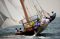 Dhow regatta in Dubaï. © Philip Plisson / Plisson La Trinité / AA14905 - Photo Galleries - Dubai