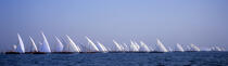 Dhows regatta in Dubaï. © Philip Plisson / Plisson La Trinité / AA14955 - Photo Galleries - Dubai