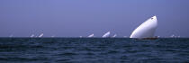 Dhows regatta in Dubaï. © Philip Plisson / Plisson La Trinité / AA14956 - Photo Galleries - Dubai