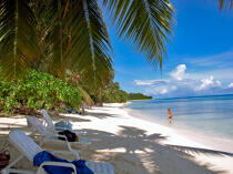 Holidays in Seychelles. © Philip Plisson / Plisson La Trinité / AA14957 - Photo Galleries - Palm tree